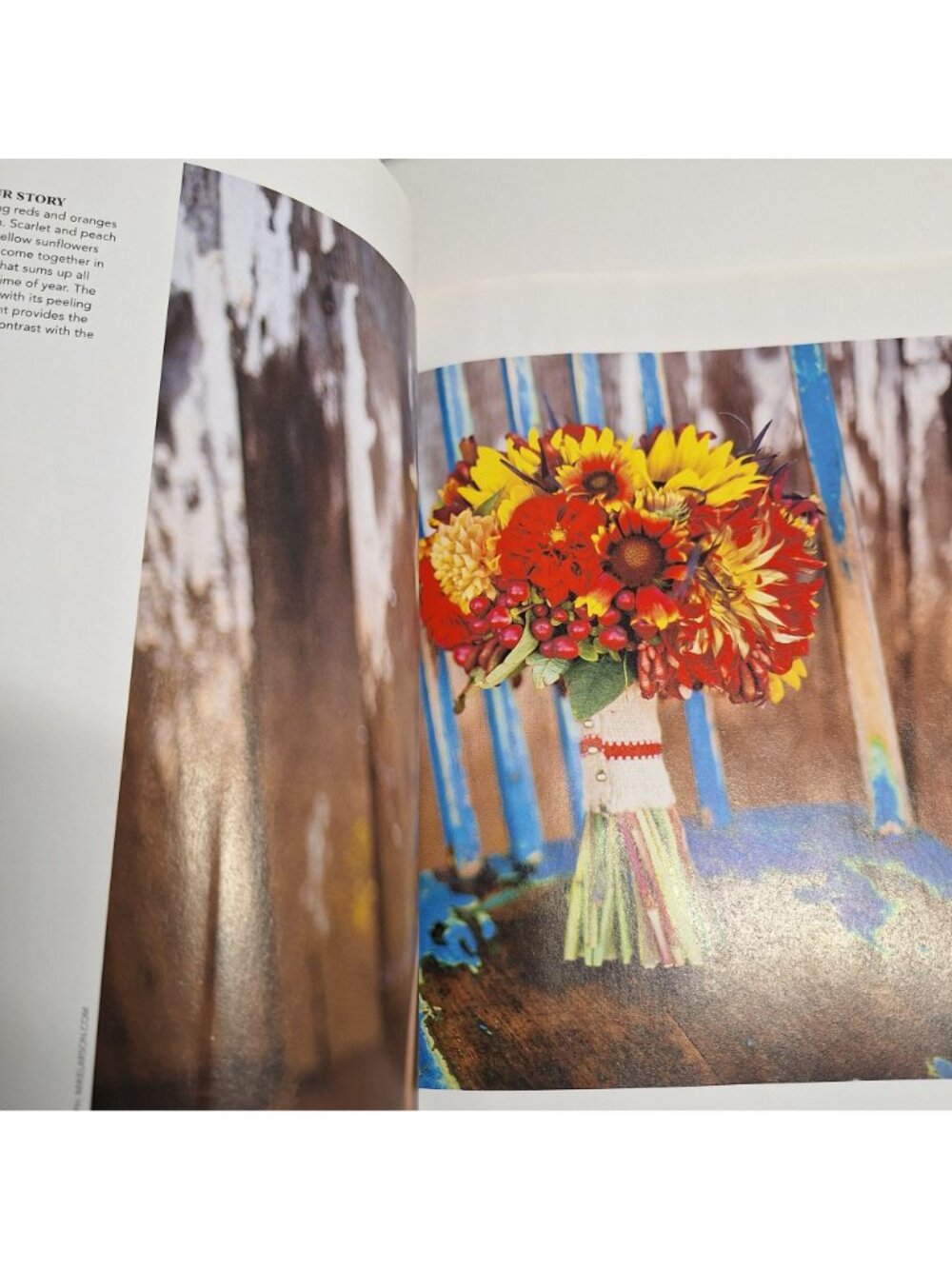 Mollie Makes Issue 6 UK 2011 Magazine Autumn Fruits Harvest Craft Projects - Picture 10 of 13